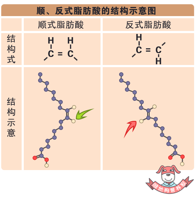 在油脂的化学结构中,按照脂肪酸的空间结构分类, 其联结到双键两端碳